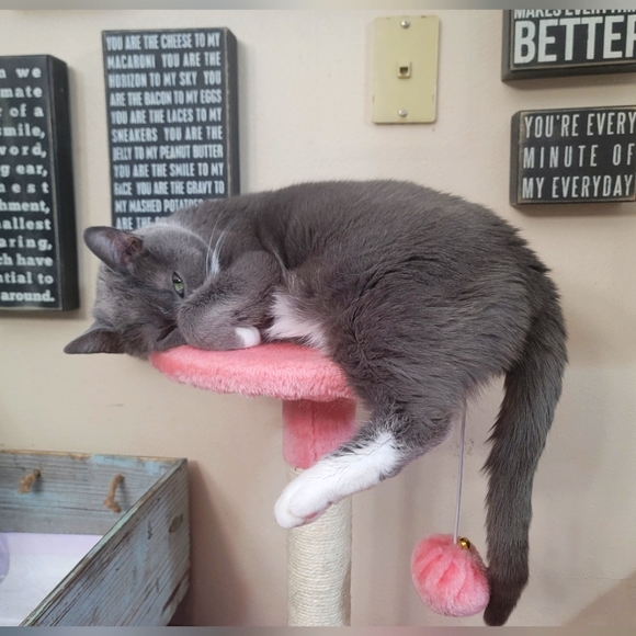 Meet your Posher, Jessica - Picture 7 of 9